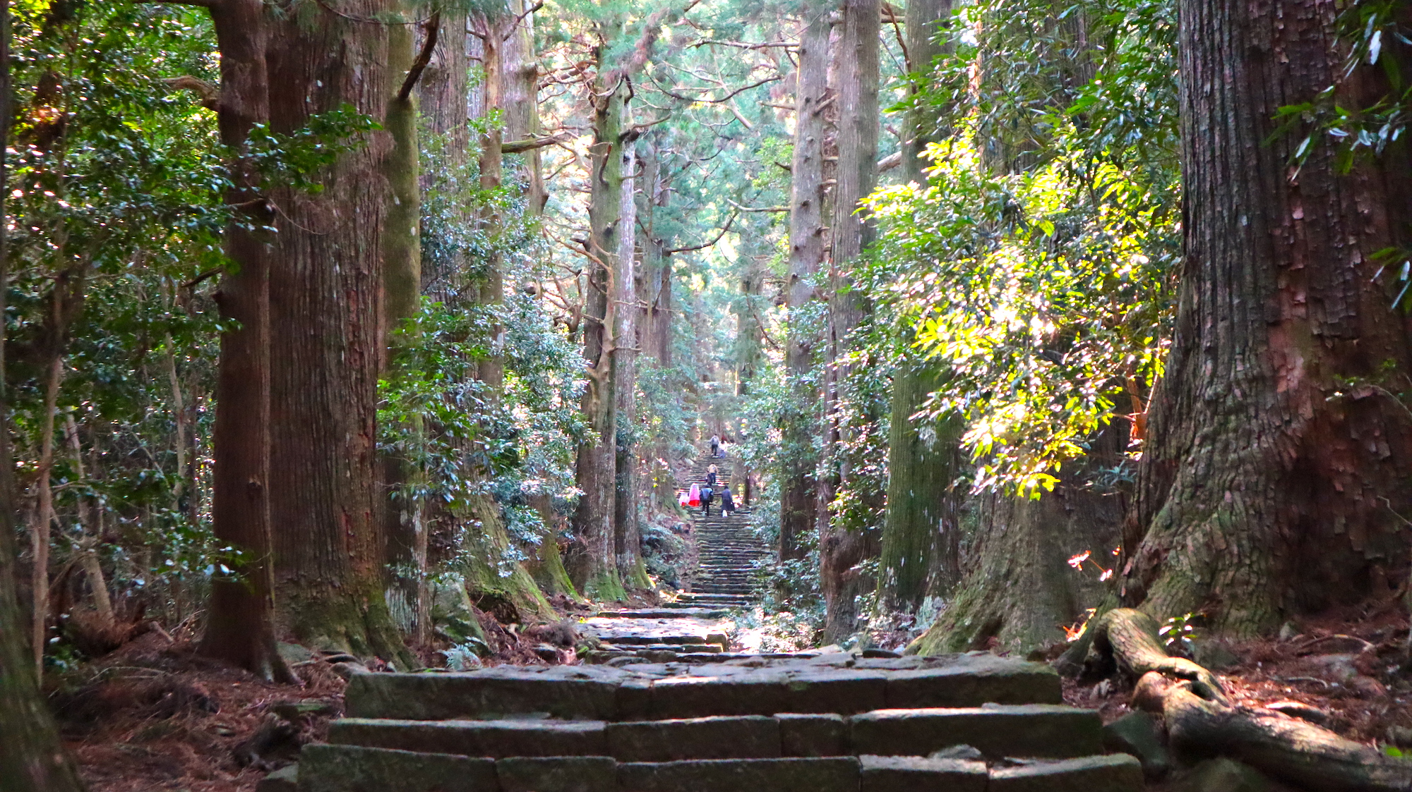 大門坂 石段參道